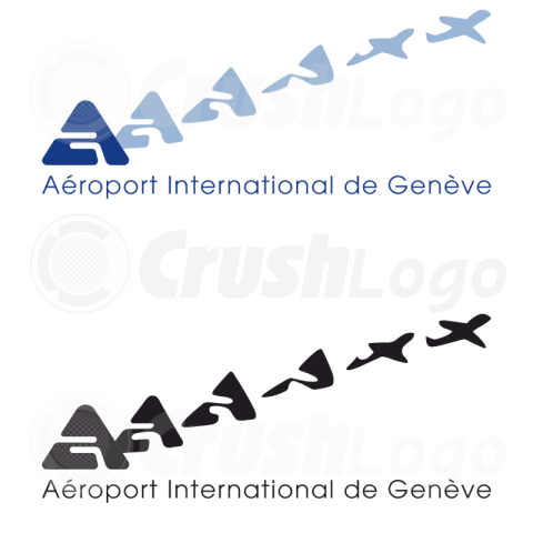 Aeroport International Logo